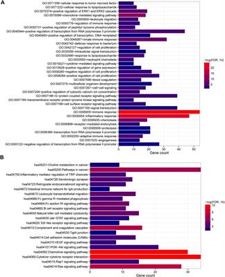Identification of mRNA Signature for Predicting Prognosis Risk of Rectal Adenocarcinoma